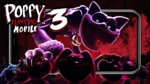 17dssoppy 3
